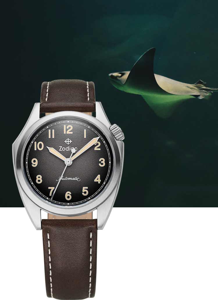 Olmypos Field watch and sea animal