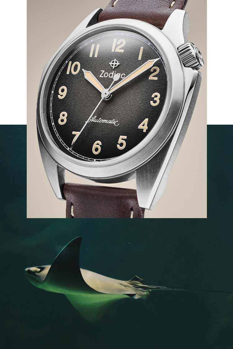 Olmypos Field watch with sea animal