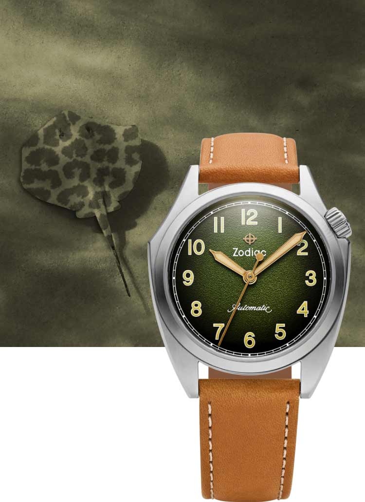 Olmypos Field watch and stingray