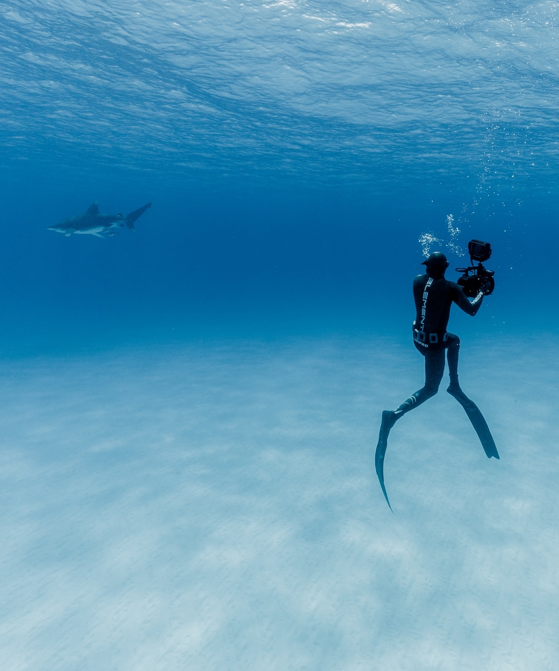 Diver Andy Mann takes a photo of an oceanic whitetip shark