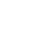 shopping bag icon