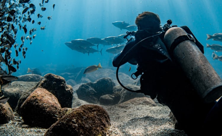 Scuba diver in the ocean.
