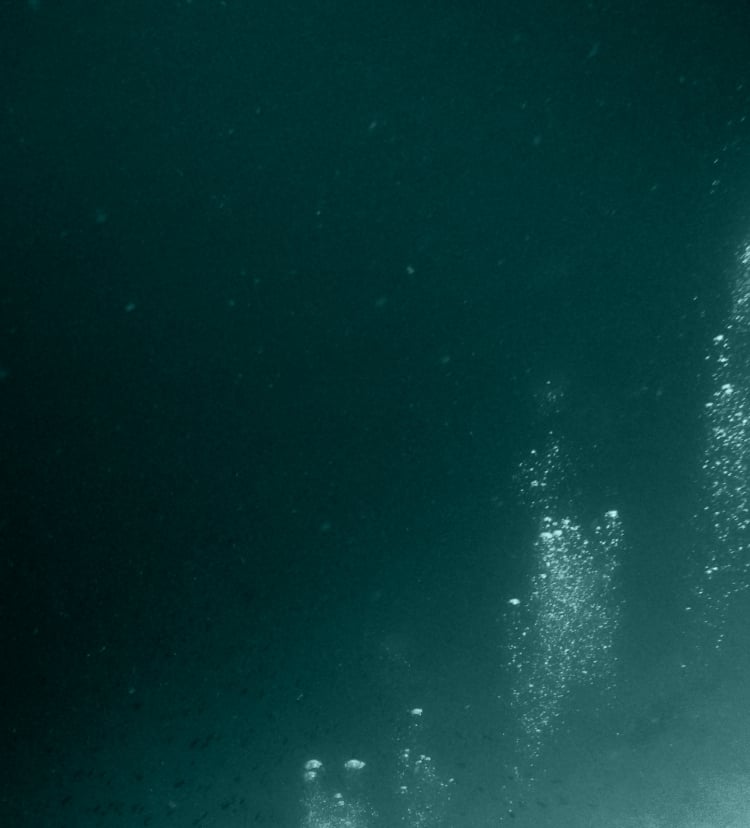 An underwater scene with bubbles rising to the surface.